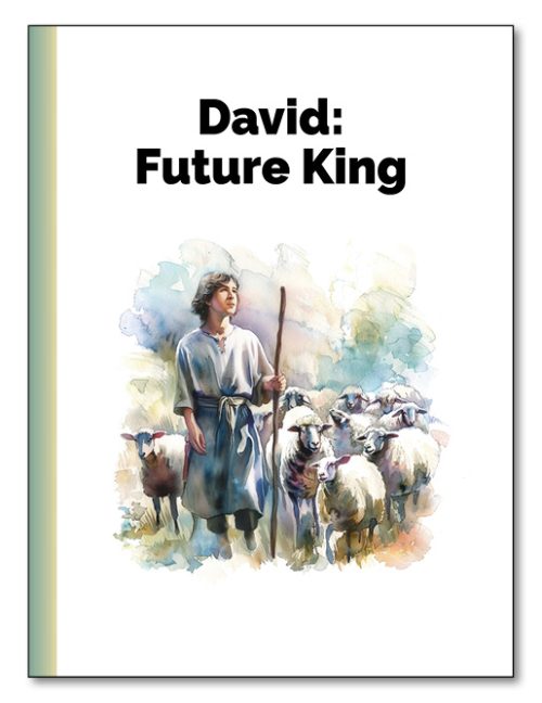 Reading Roundtable® books for people with dementia - David: Future King